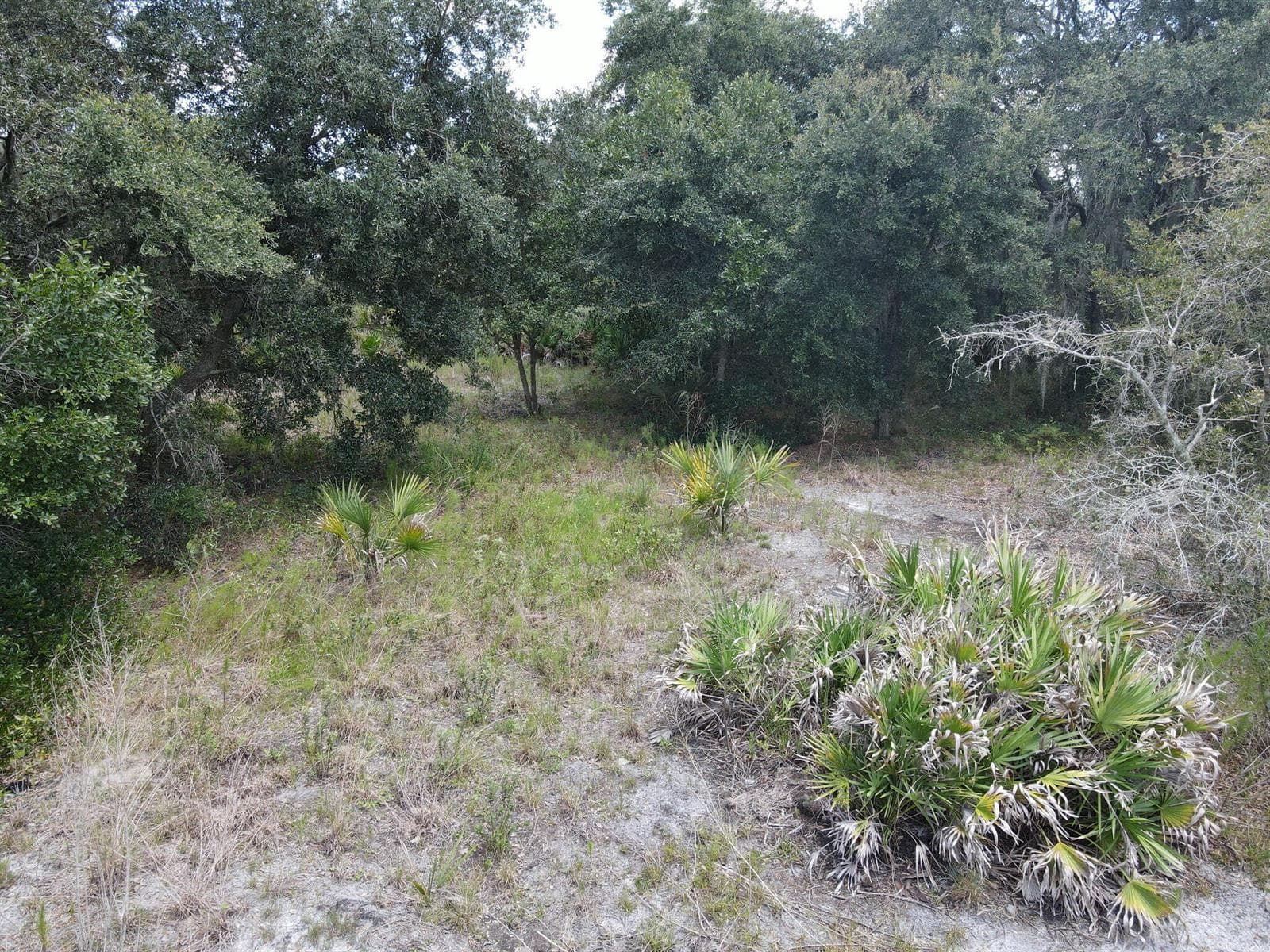 19096 NW 302ND Street, Okeechobee, FL 34972 photo 2