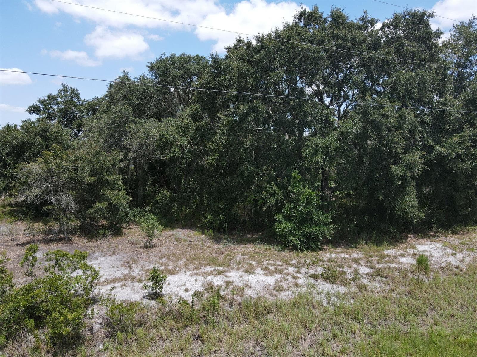 19096 NW 302ND Street, Okeechobee, FL 34972 photo 3