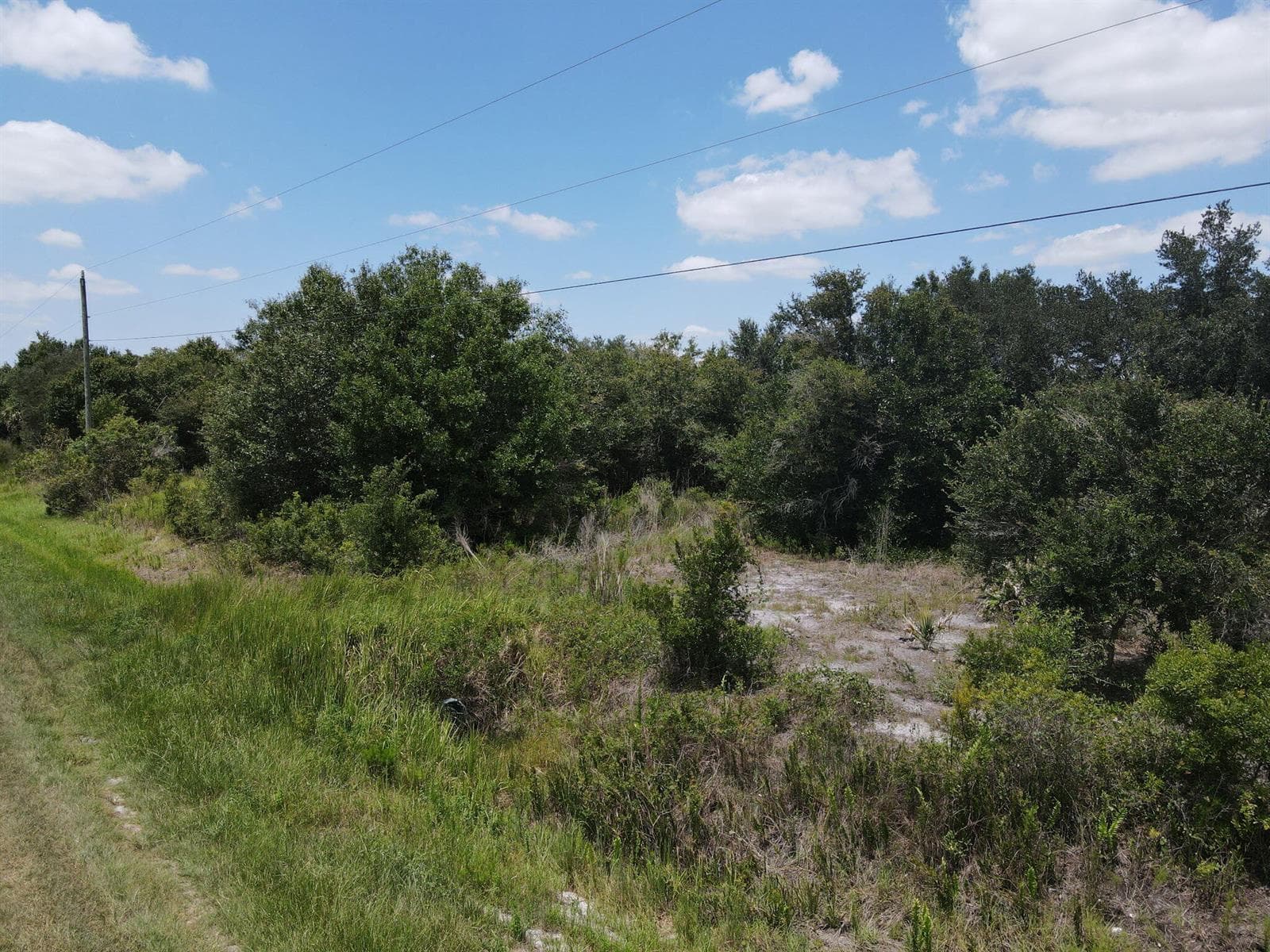 19096 NW 302ND Street, Okeechobee, FL 34972 photo 4