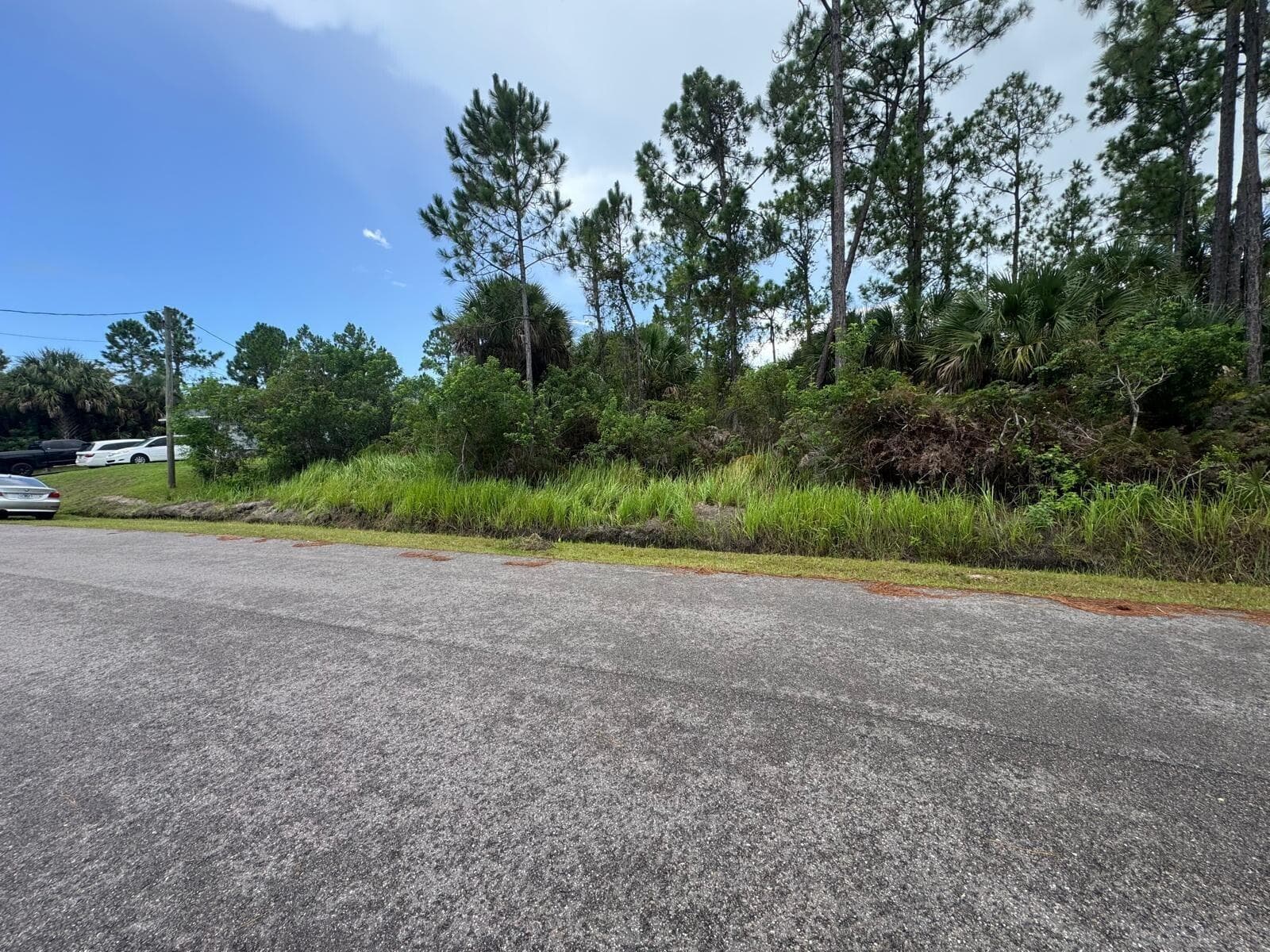 426 Lamon Street SW, Palm Bay, FL 32908 photo 5