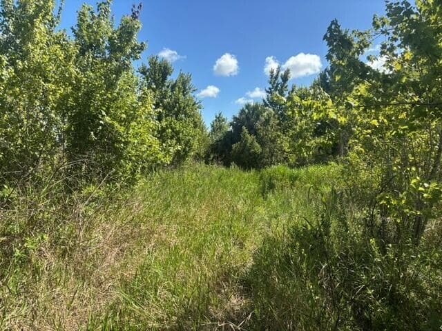 0 NW 312th Street, Okeechobee, FL 34972 photo 2