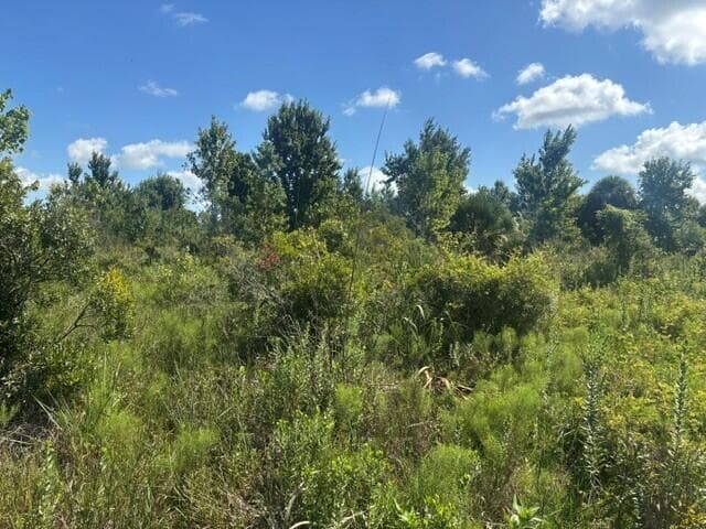 0 NW 312th Street, Okeechobee, FL 34972