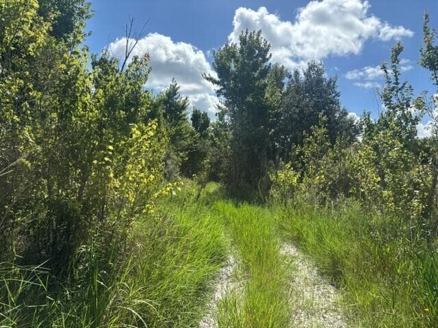0 NW 312th Street, Okeechobee, FL 34972 photo 4