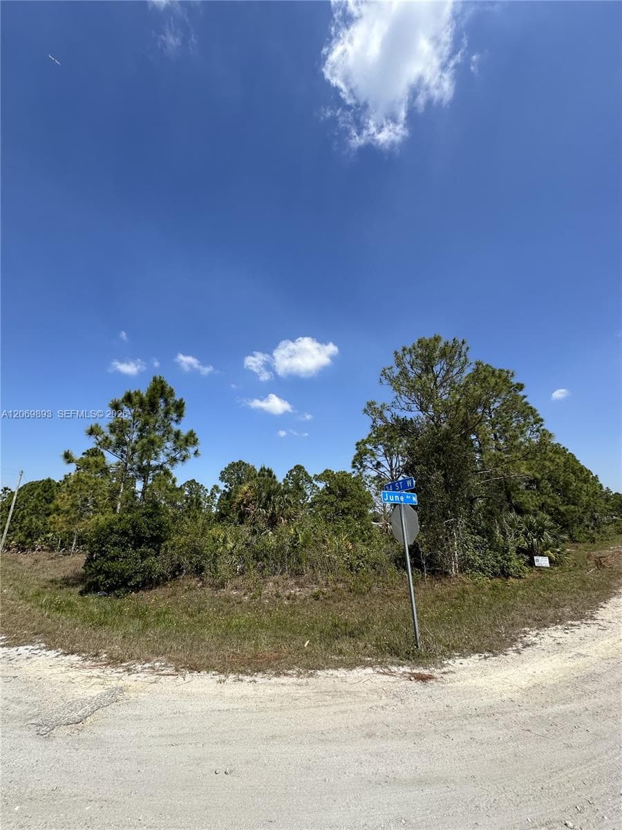 3401 June Ave N, Lehigh Acres, FL 33971 photo 2
