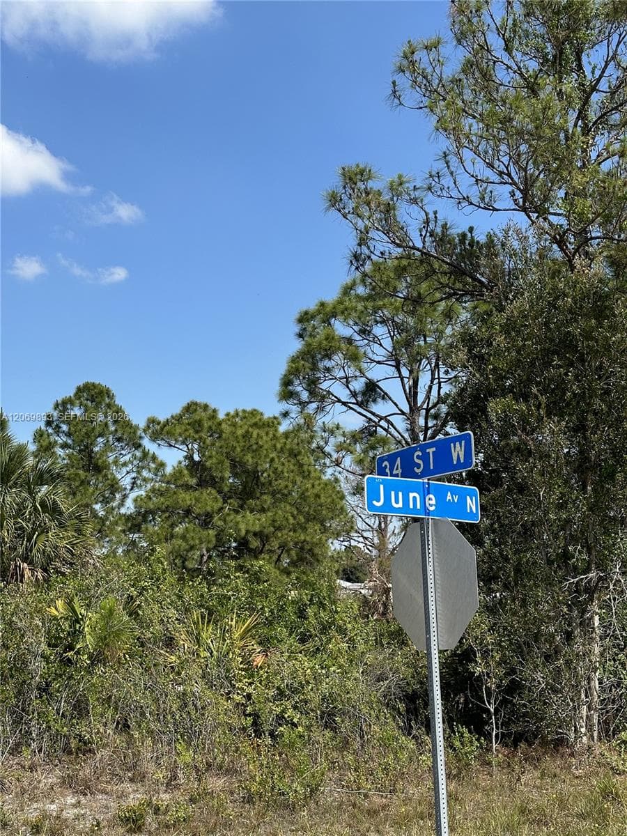 3401 June Ave N, Lehigh Acres, FL 33971 photo 3