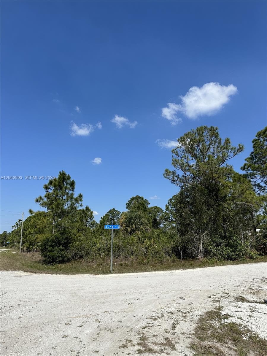 3401 June Ave N, Lehigh Acres, FL 33971 photo 5