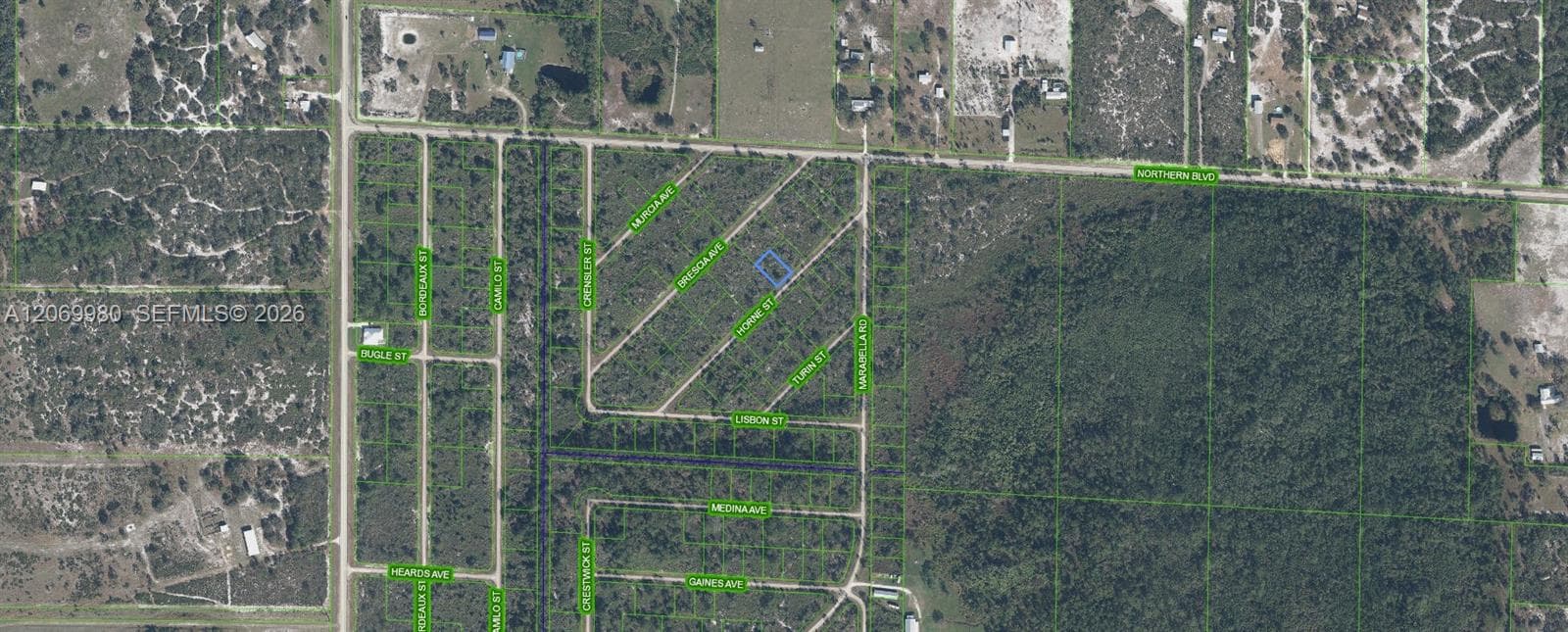 3517 HORNE STREET, Lake Placid, FL 33852 photo 2