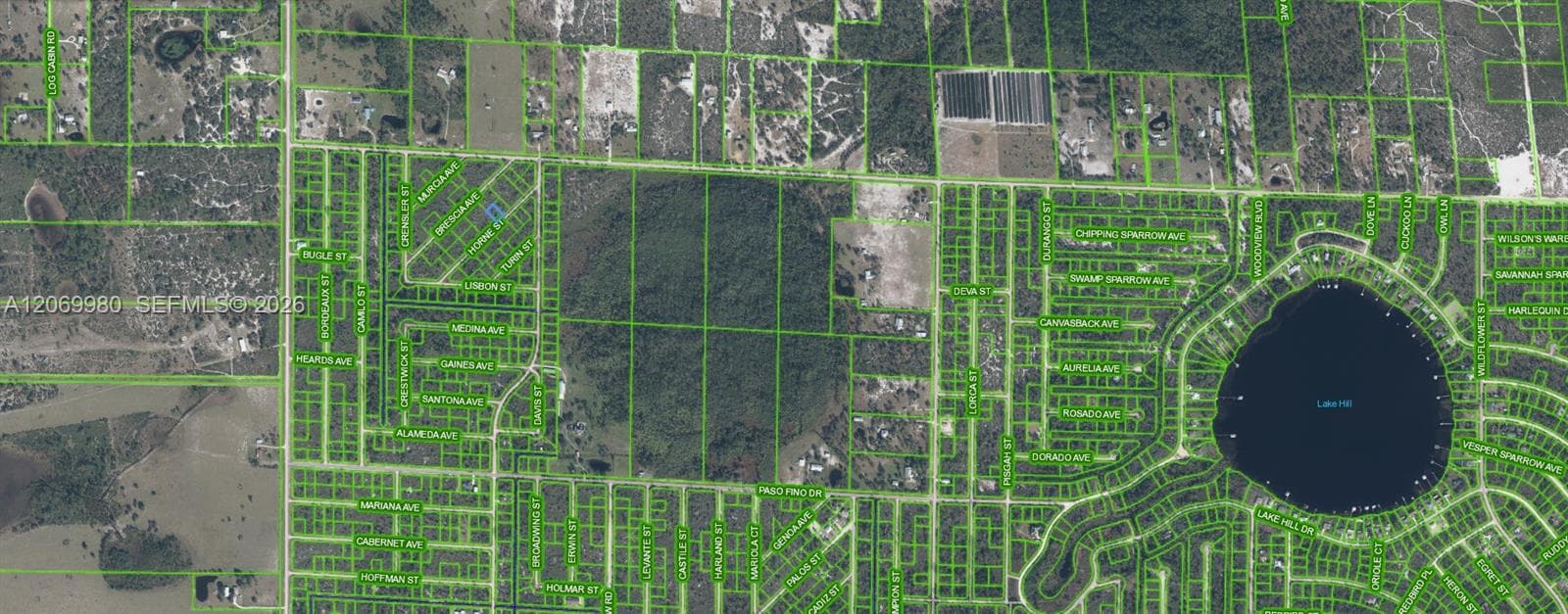 3517 HORNE STREET, Lake Placid, FL 33852 photo 3