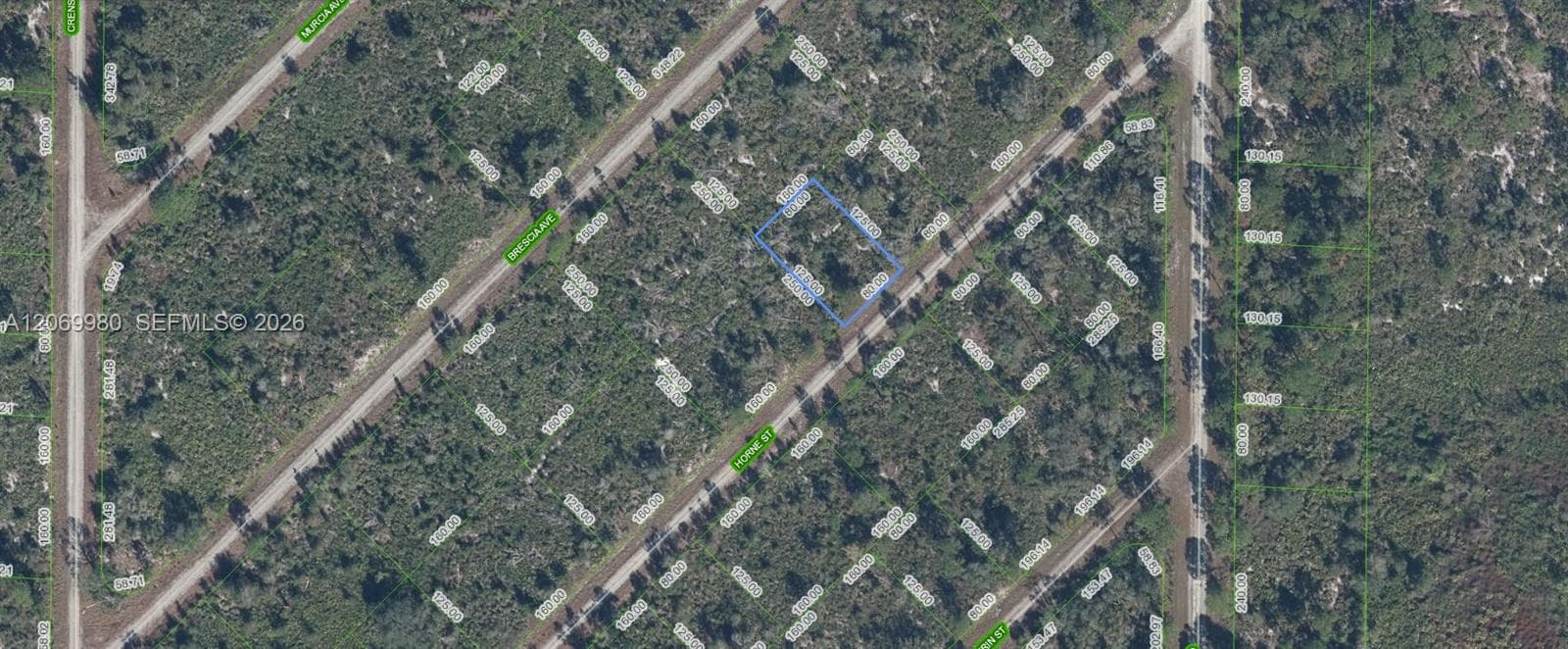3517 HORNE STREET, Lake Placid, FL 33852