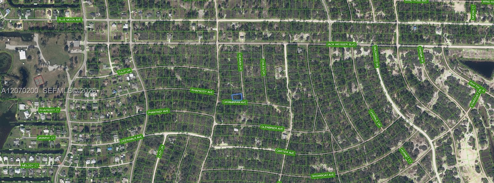 416 HEAVEN DRIVE, Lake Placid, FL 33852 photo 2