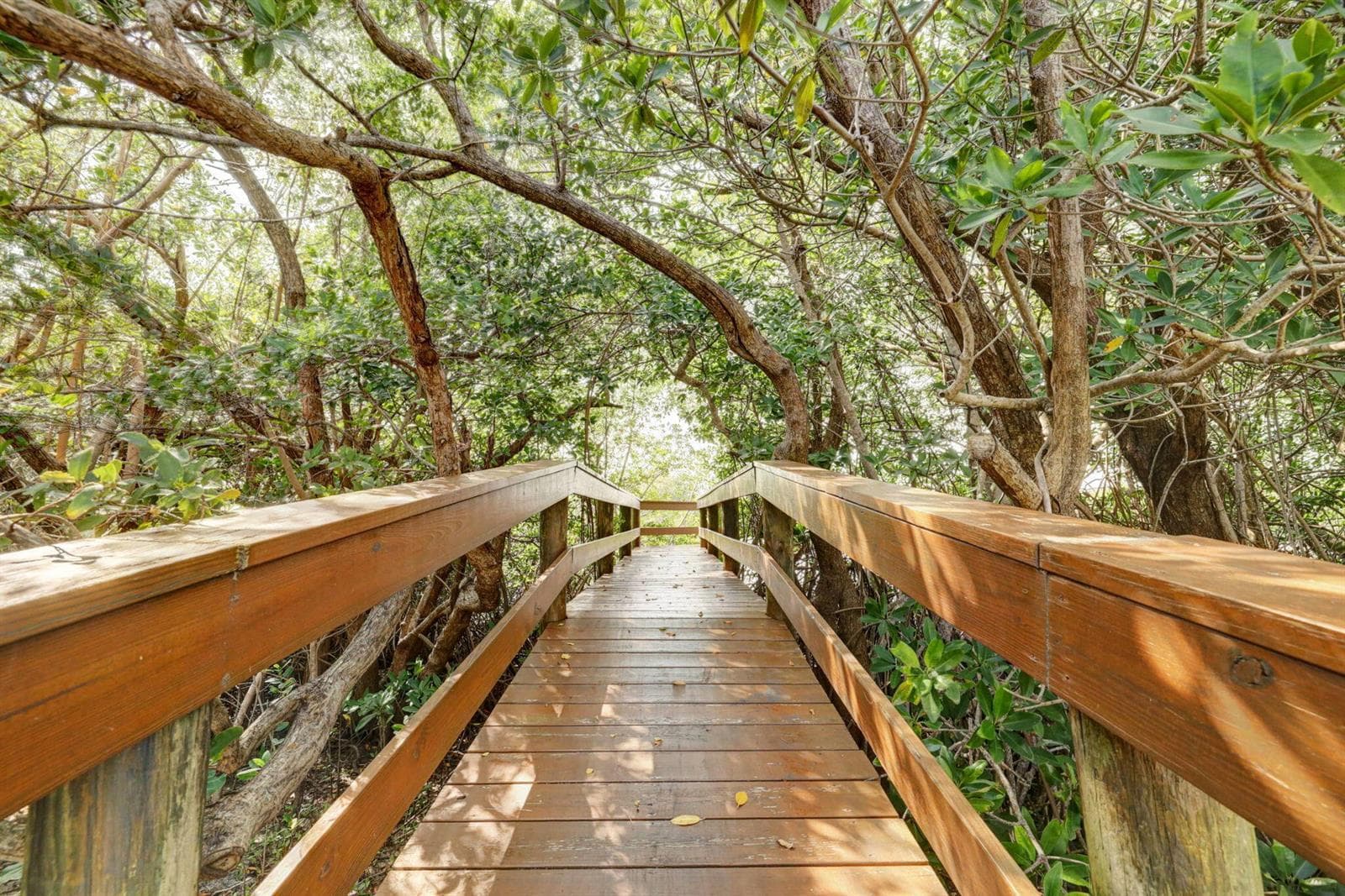 5059 N HIGHWAY A1A # 206, Hutchinson Island, FL 34949 photo 2