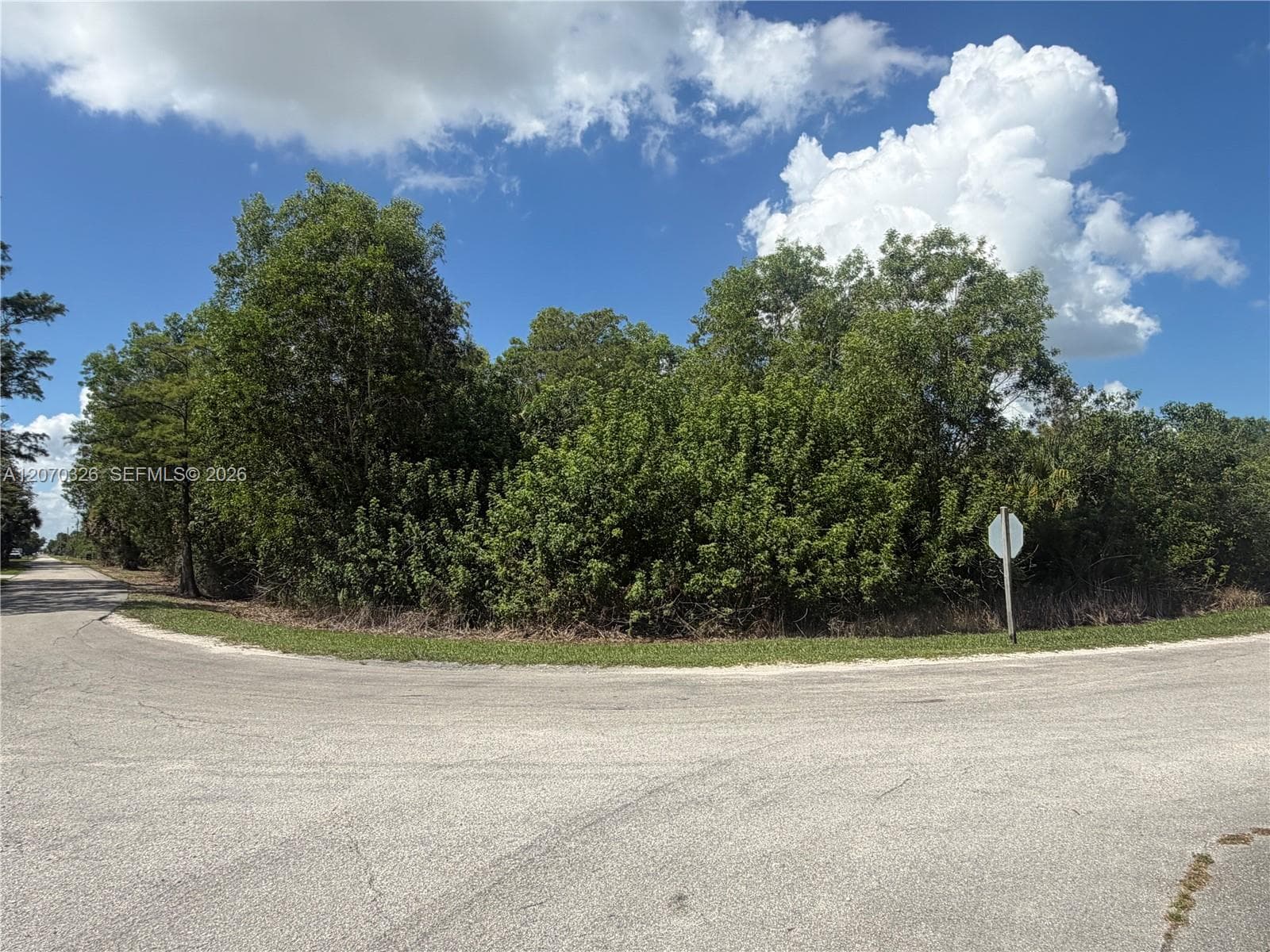 19556 Black Falcon Rd, Loxahatchee, FL 33470 photo 3