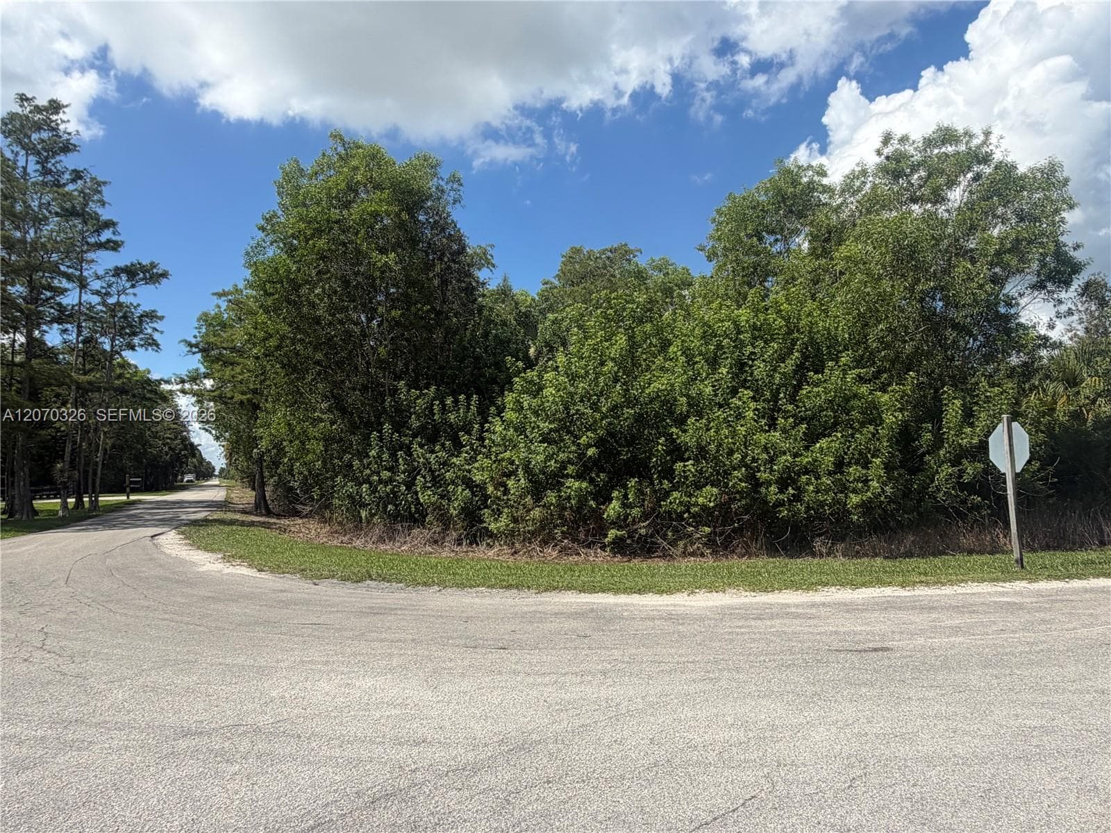 19556 Black Falcon Rd, Loxahatchee, FL 33470 photo 4