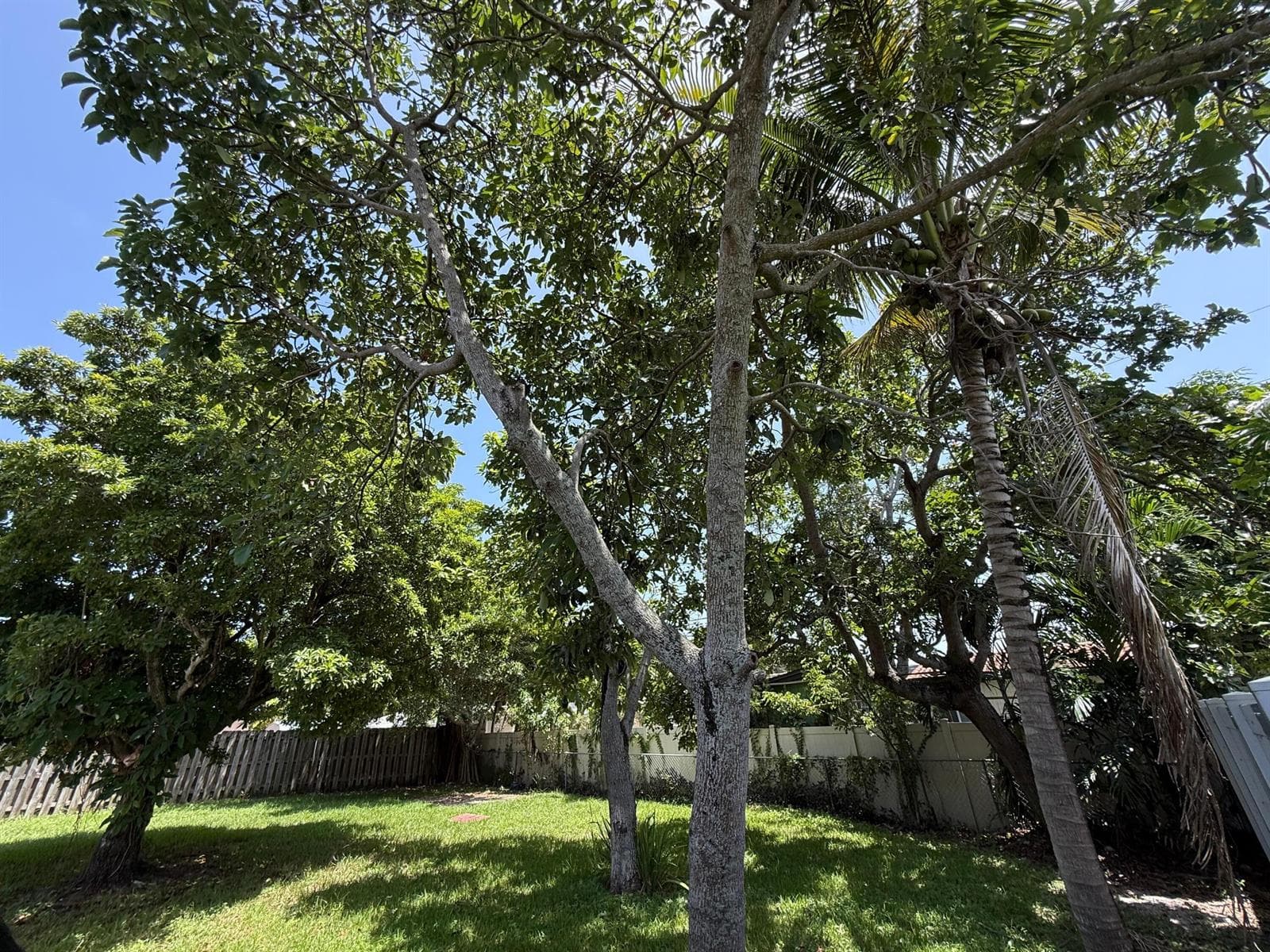 637 SW 2ND Street, Hallandale Beach, FL 33009 photo 4