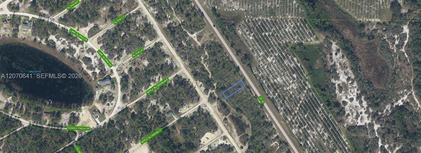 903 COUNTY ROAD 29, Lake Placid, FL 33852 photo 2