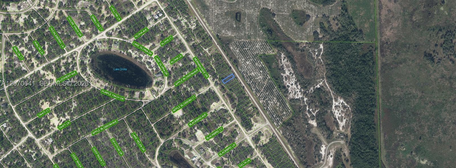 903 COUNTY ROAD 29, Lake Placid, FL 33852 photo 3