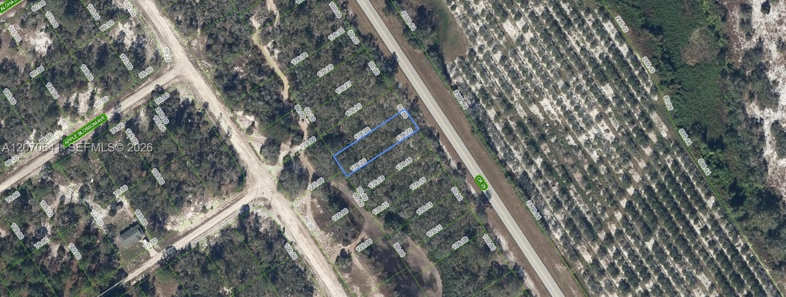 903 COUNTY ROAD 29, Lake Placid, FL 33852