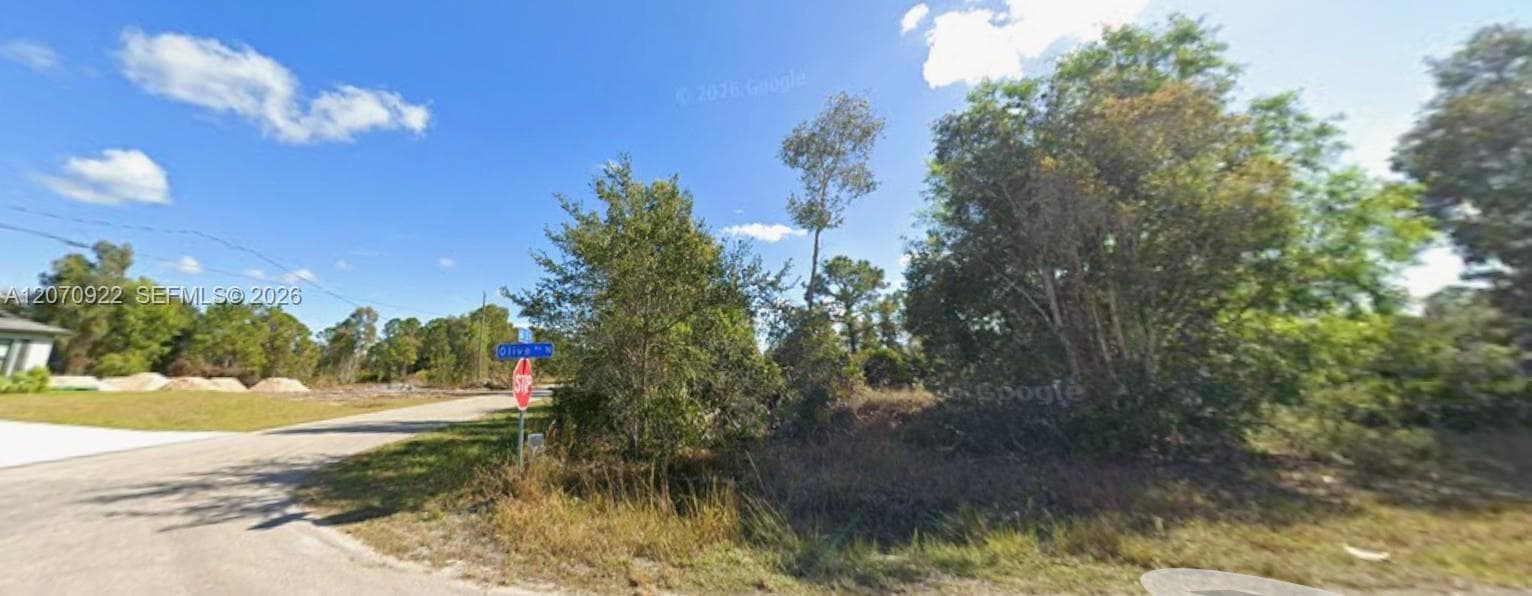 6020 Olive Ave N, Lehigh Acres, FL 33971 photo 2