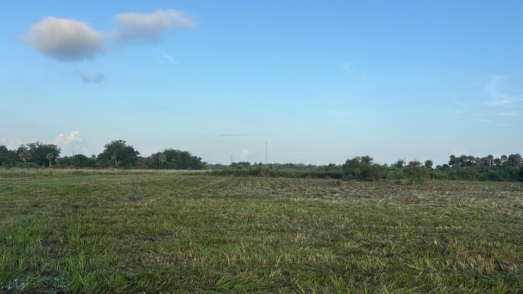 15842 NW 284th Street, Okeechobee, FL 34972 photo 5