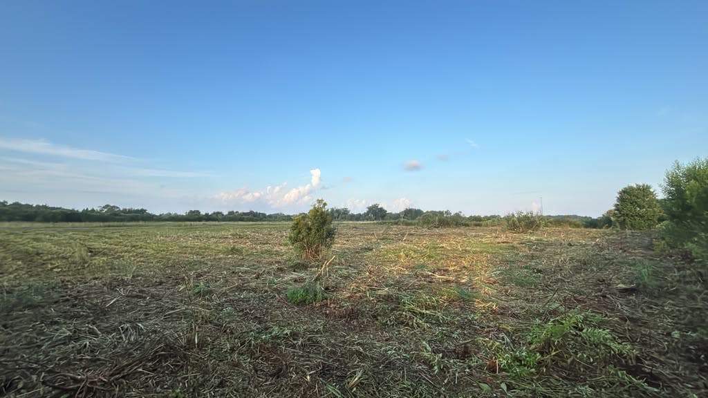 15842 NW 284th Street, Okeechobee, FL 34972 photo 4