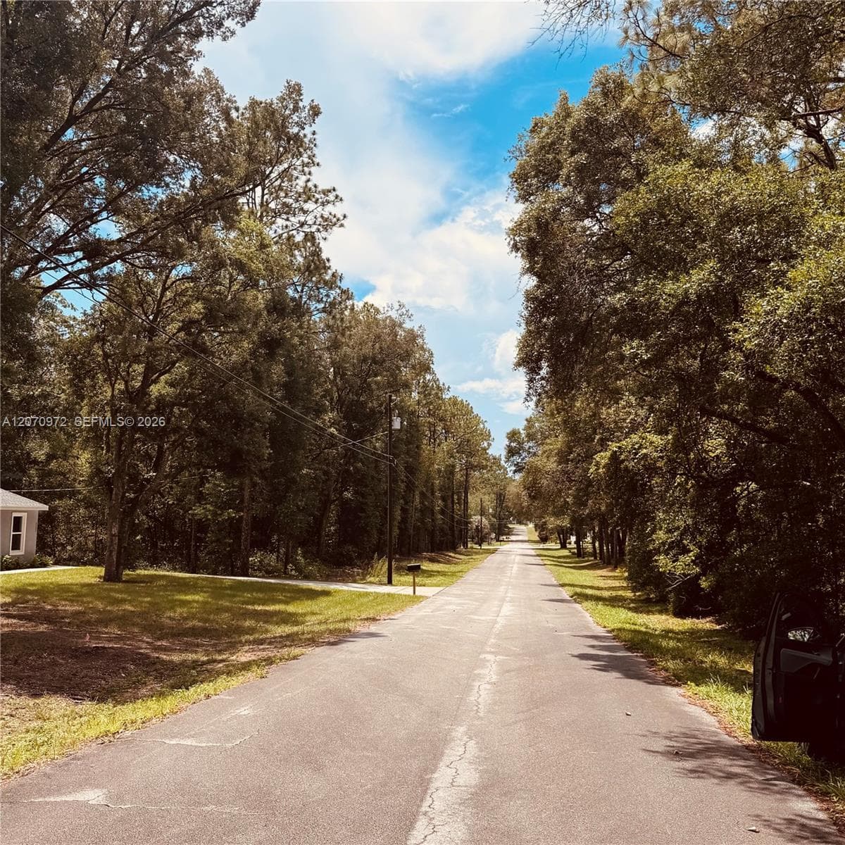 Undetermined SW 54 Street, Other City - In The State Of Florida, FL 34431 photo 3