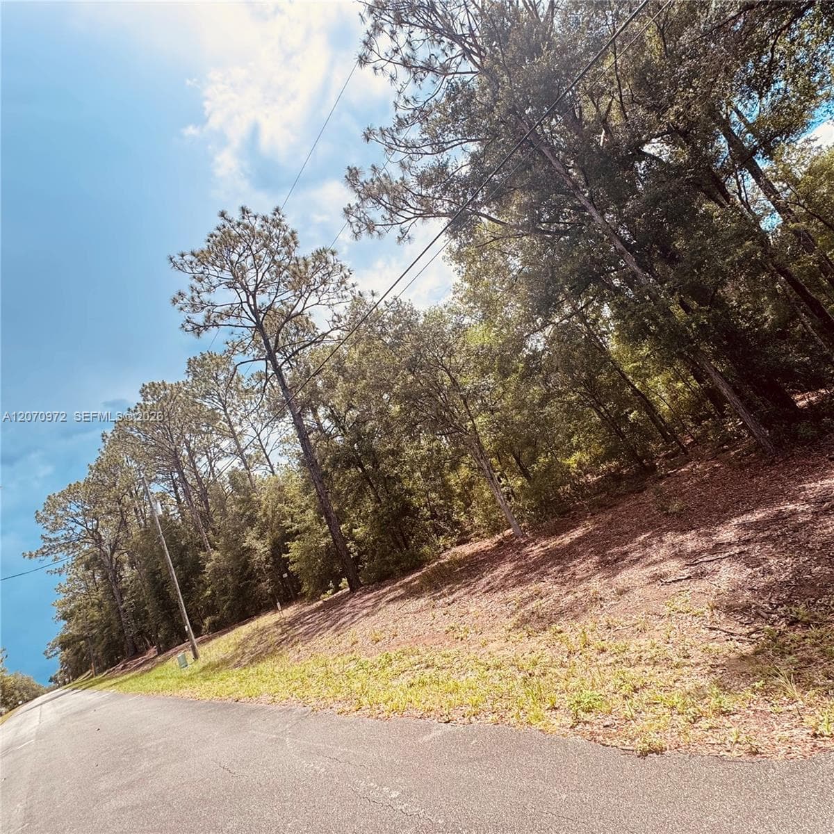 Undetermined SW 54 Street, Other City - In The State Of Florida, FL 34431 photo 5