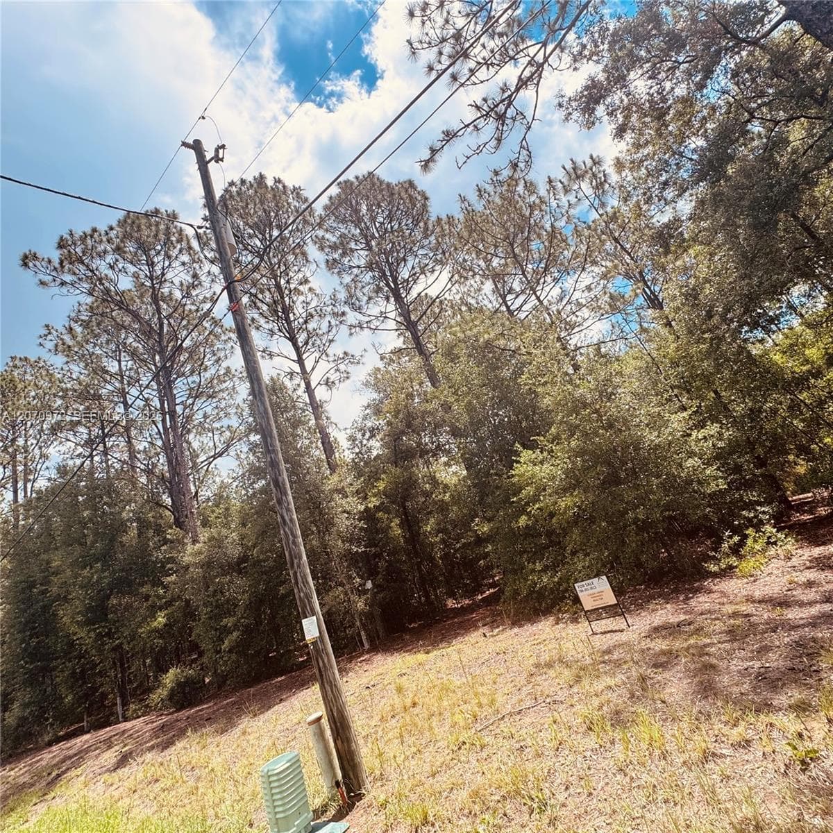 Undetermined SW 54 Street, Other City - In The State Of Florida, FL 34431 photo 4