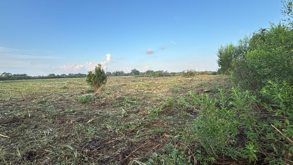 15790 NW 284TH Street, Okeechobee, FL 34972 photo 5