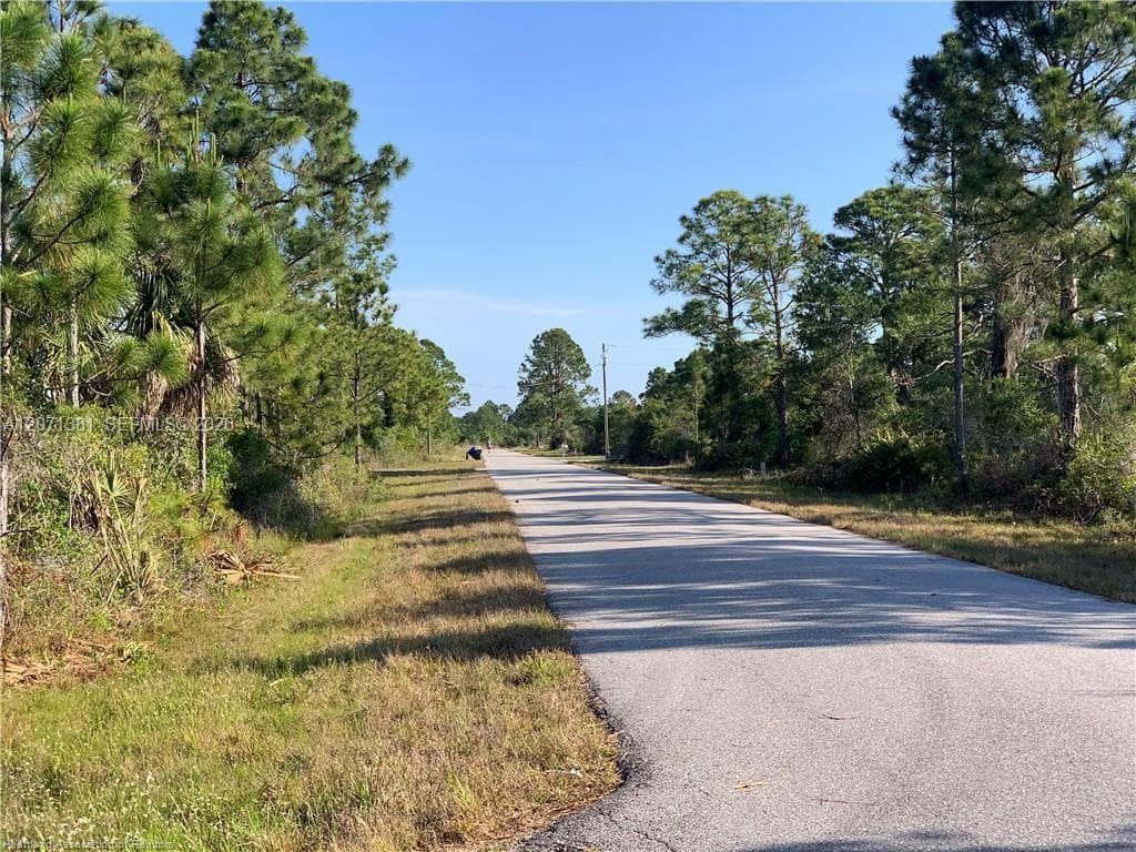 105 Citation St, Lake Placid, FL 33852 photo 4
