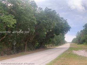 615 Wildflower Street, Lake Placid, FL 33852 photo 2