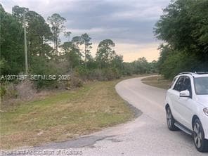 615 Wildflower Street, Lake Placid, FL 33852 photo 3
