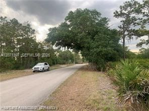 615 Wildflower Street, Lake Placid, FL 33852 photo 5