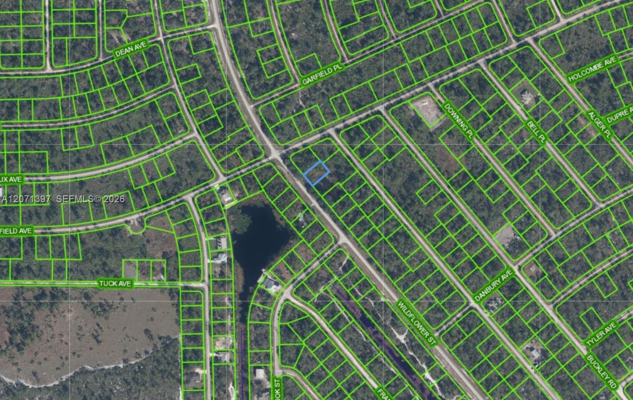 615 Wildflower Street, Lake Placid, FL 33852 photo 4