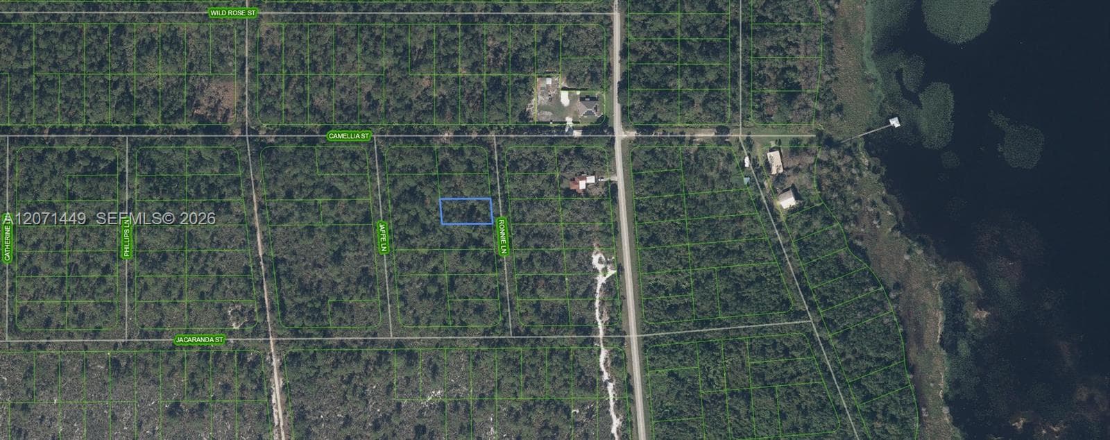 722 Ronnie Lane, Lake Placid, FL 33852 photo 2