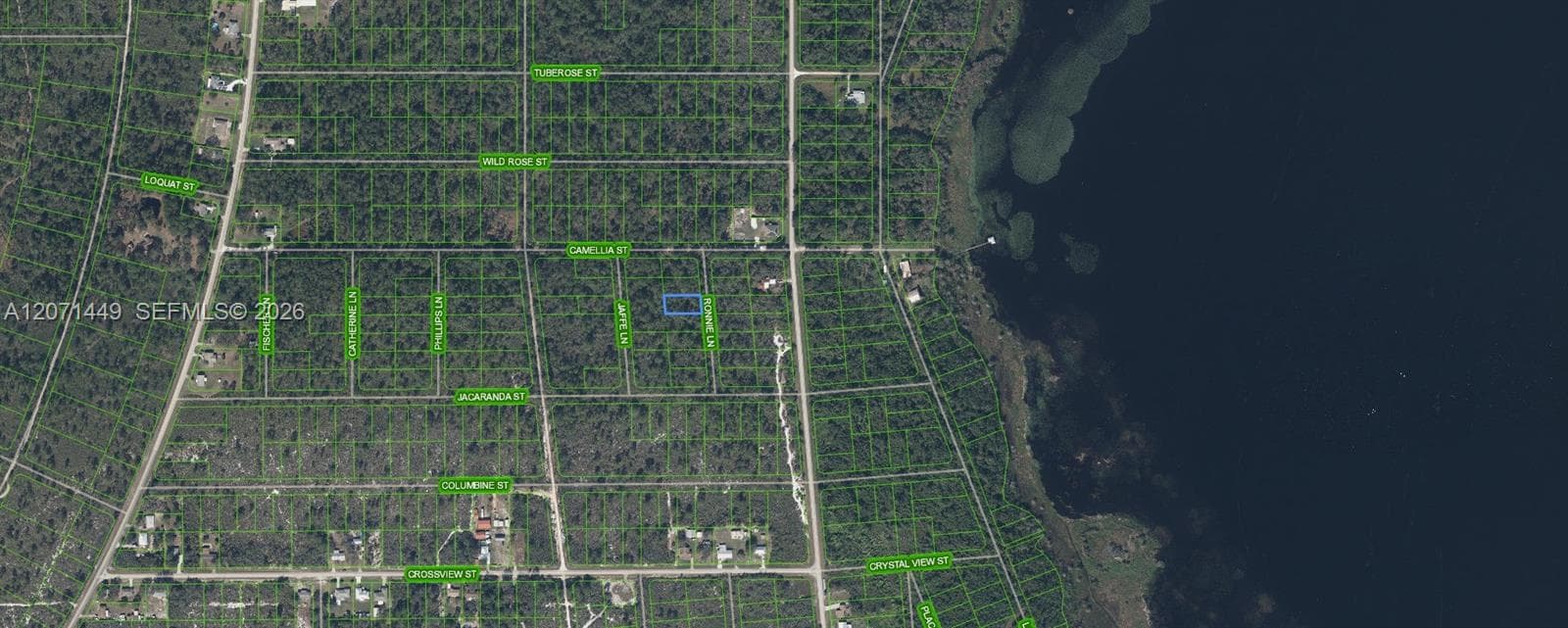 722 Ronnie Lane, Lake Placid, FL 33852 photo 3