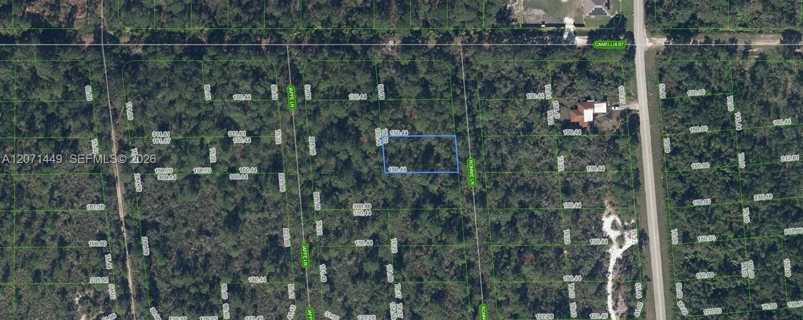 722 Ronnie Lane, Lake Placid, FL 33852