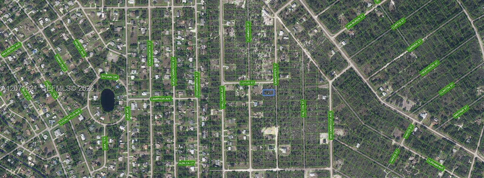 348 SANDPIPER ST, Lake Placid, FL 33852 photo 2