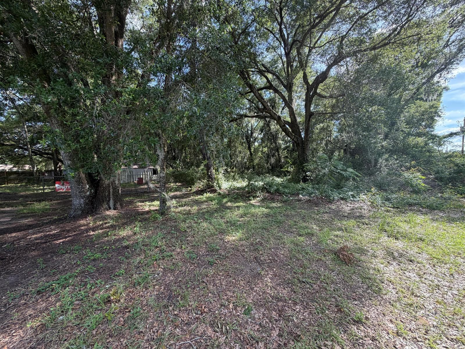 3920 E ALLENDALE Street, Inverness, FL 34453 photo 4