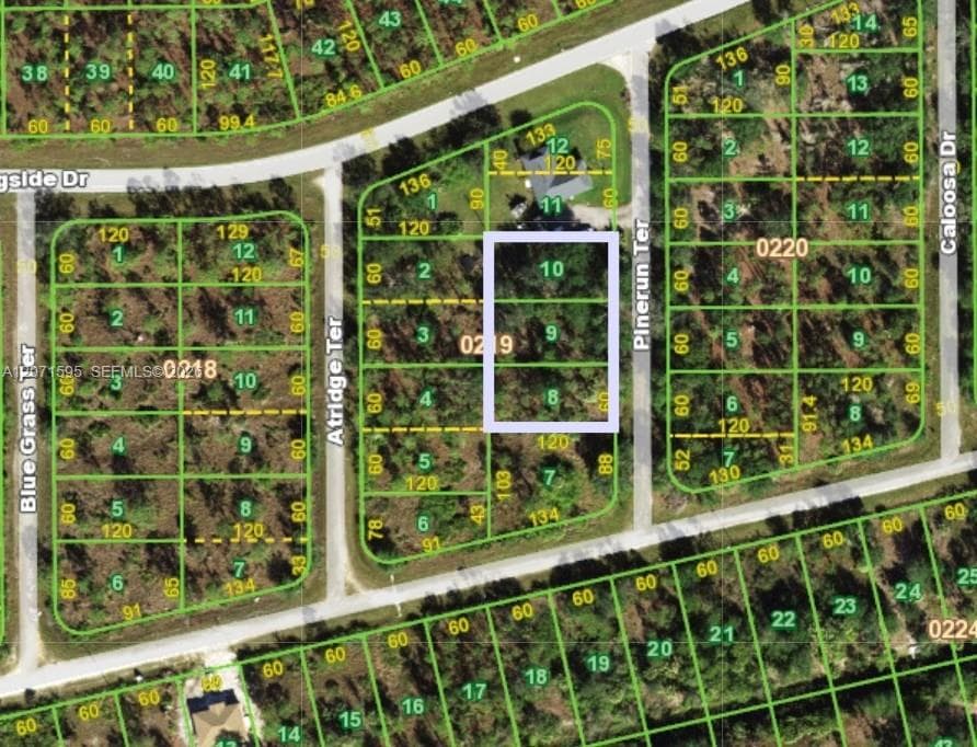 13263 Pinerun Terrace, Punta Gorda, FL 33955 photo 2