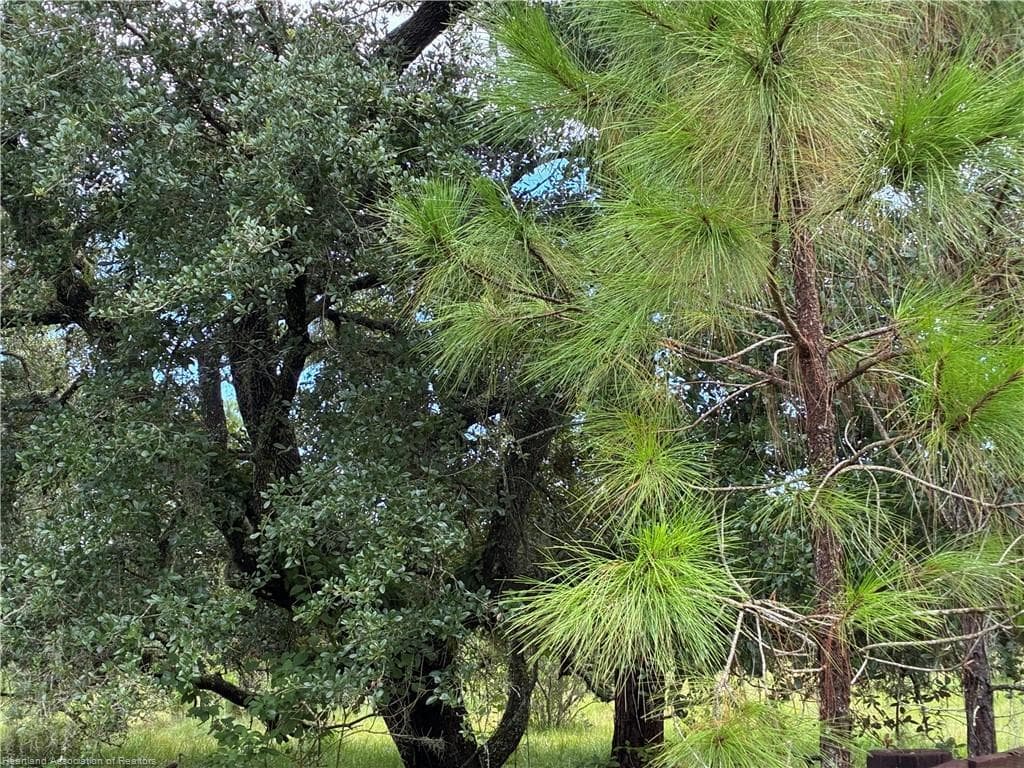 0 Detjen'S Dairy Road, FL 33960 photo 2