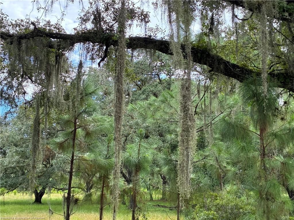 0 Detjen'S Dairy Road, FL 33960 photo 5