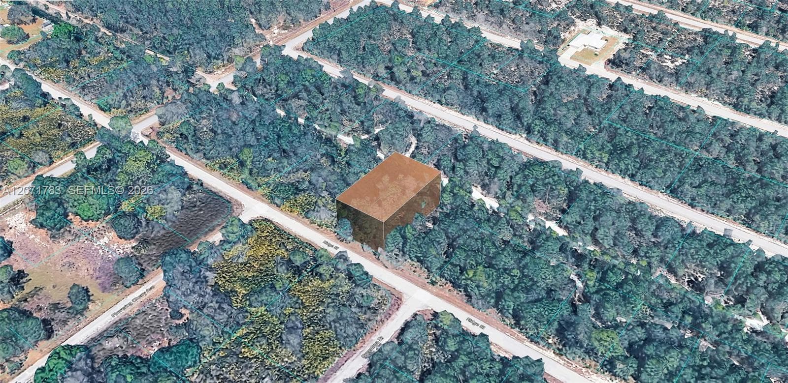 955 RIDGE ST, Lake Placid, FL 33852 photo 2