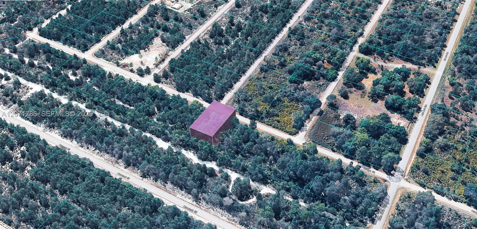 953 RIDGE ST, Lake Placid, FL 33852 photo 4