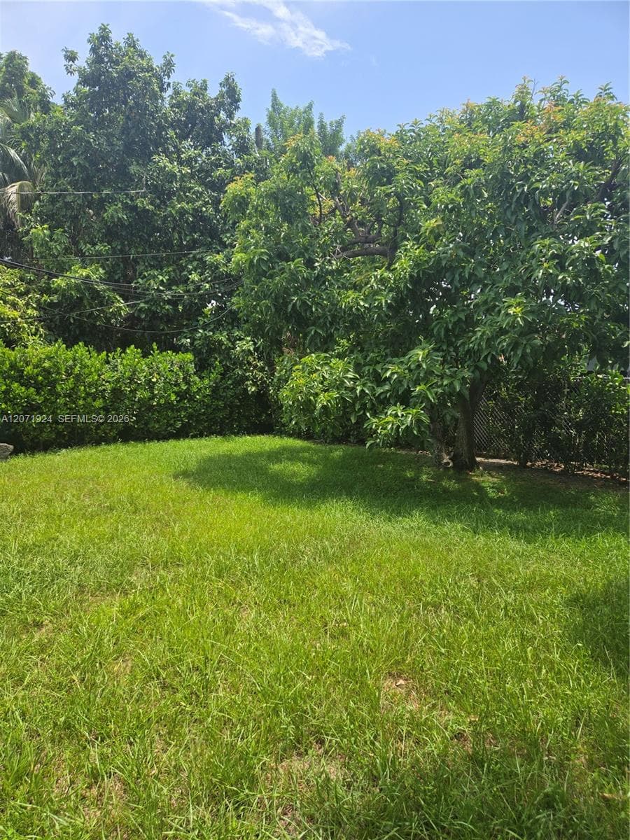 1170 NE 111th St # 1170, Miami, FL 33161 photo 5