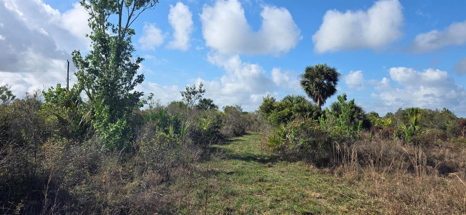 16529 NW 264TH Street, Okeechobee, FL 34972 photo 2