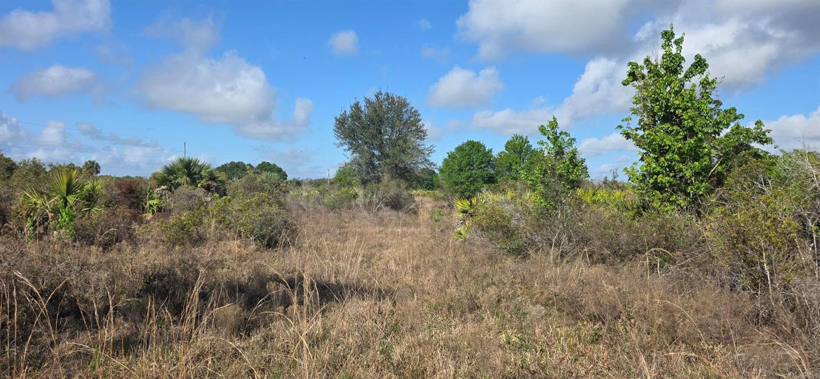 16529 NW 264TH Street, Okeechobee, FL 34972 photo 3