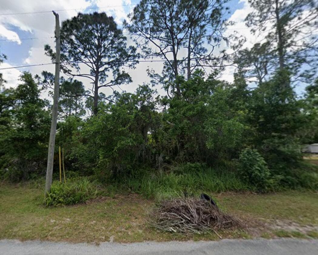 456 Bonnie Road NW, Lake Placid, FL 33852 photo 2