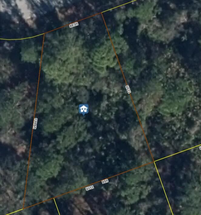 456 Bonnie Road NW, Lake Placid, FL 33852 photo 3