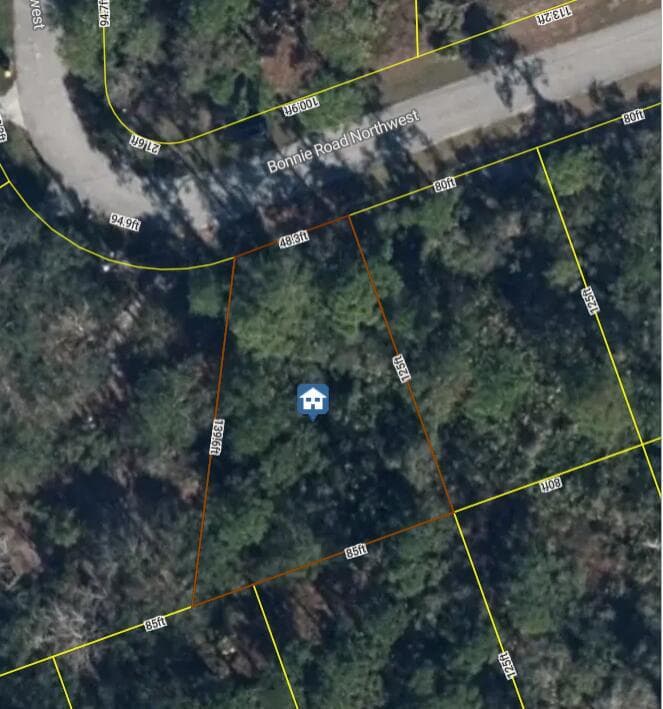 456 Bonnie Road NW, Lake Placid, FL 33852 photo 4