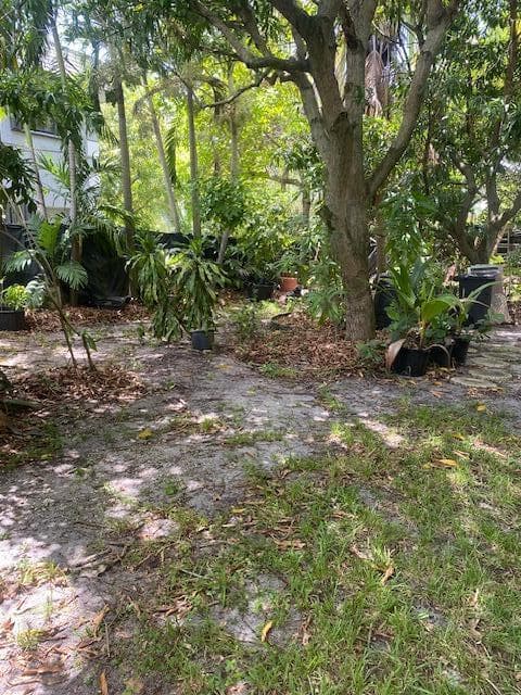 425 NW 7TH, Fort Lauderdale, FL 33311 photo 4